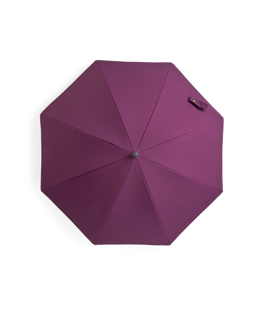 Parasol, Purple.